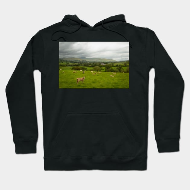 The Volatile Summer of Brecon Beacons - 2014 Hoodie by SimplyMrHill